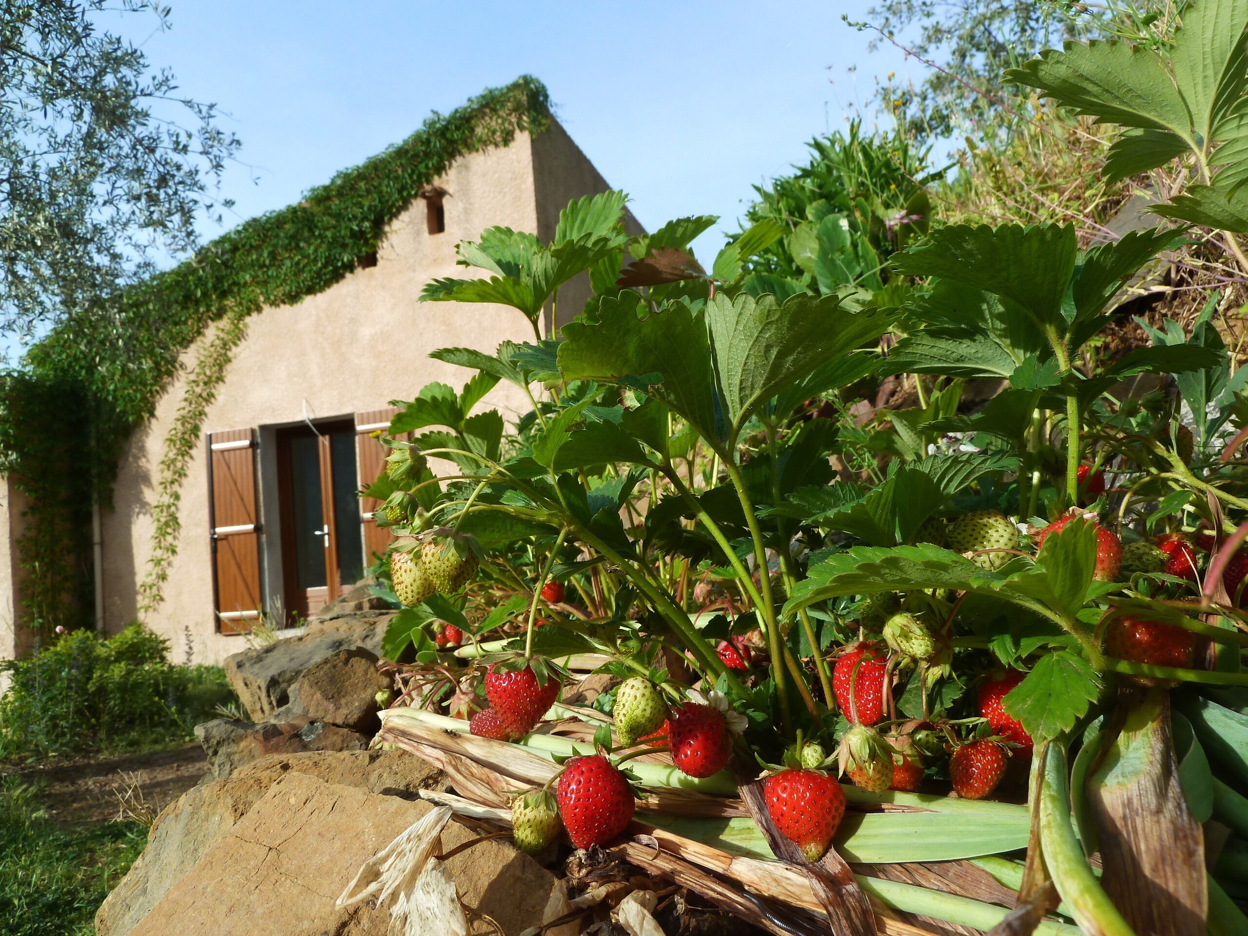 Zweibettzimmer, mit Bad, Bergblick | Außenbereich