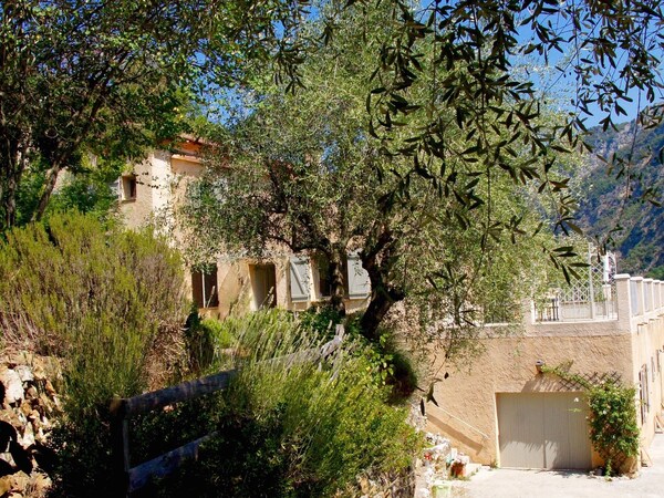 Le Mont D'olivine - Alpes-Maritimes