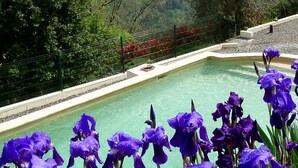 A swimming pool surrounded by a fence, with purple flowers in the foreground. - Le Mont D'olivine (Utelle)