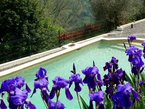 Outdoor pool - Le Mont D'olivine (Utelle)