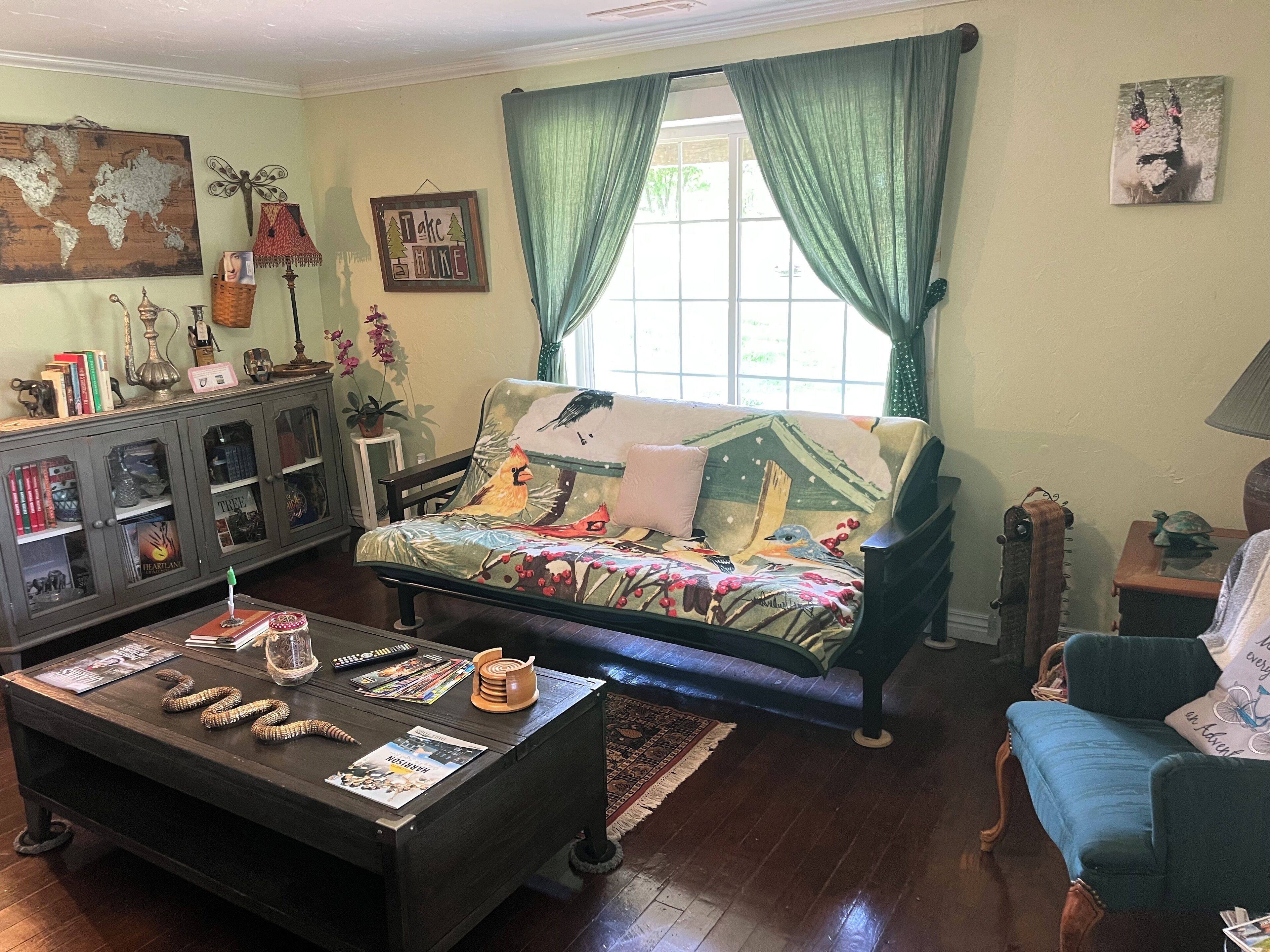 TV connectée, cheminée, lecteur de DVD, livres