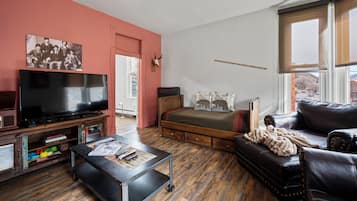 Smart TV, video games, DVD player, books
