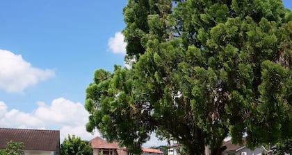 Mason's Bungalow - casa de eventos / casa de familia para hasta 16+ pax