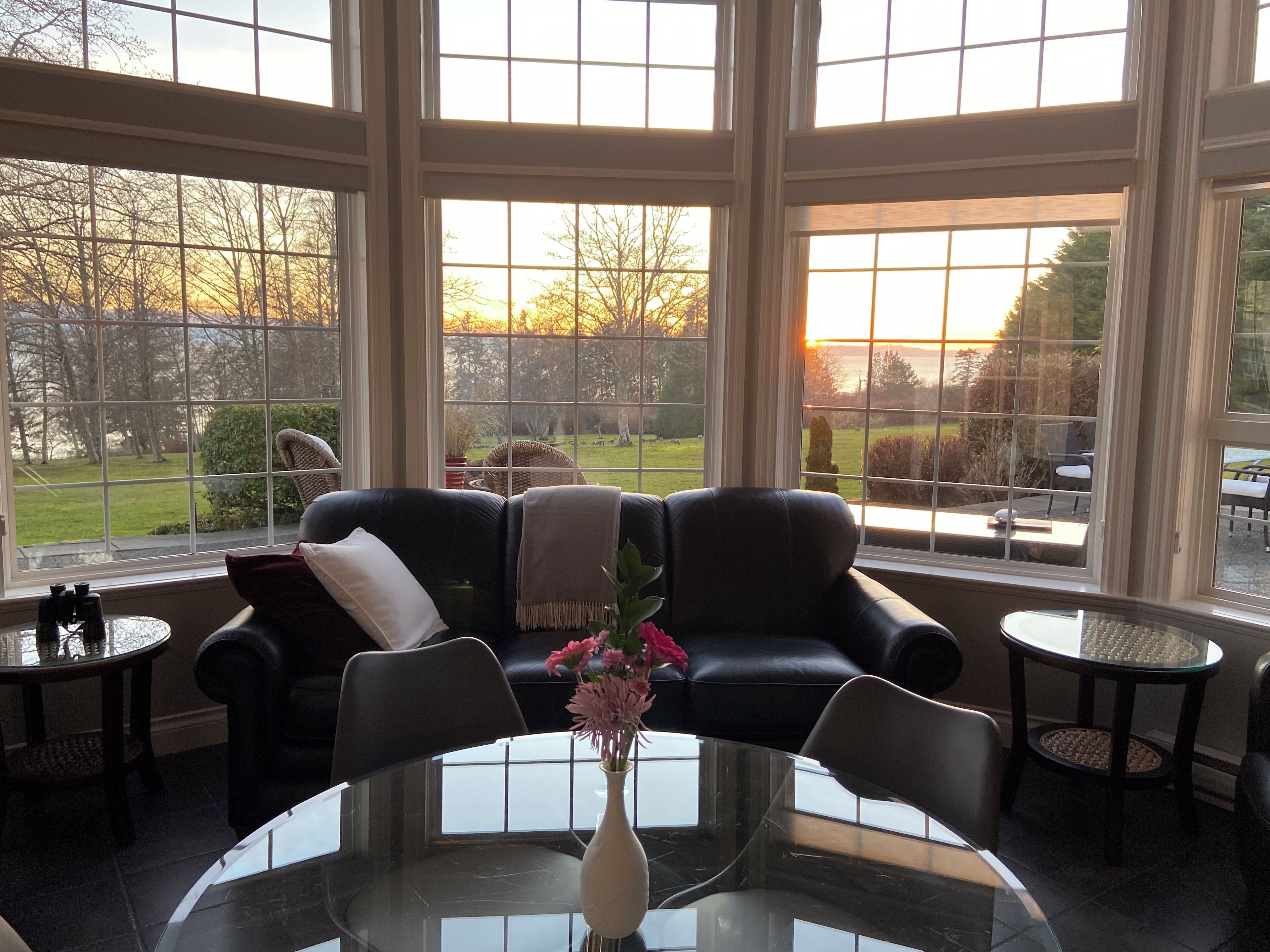 Smart TV, chimenea, reproductor de DVD y libros 