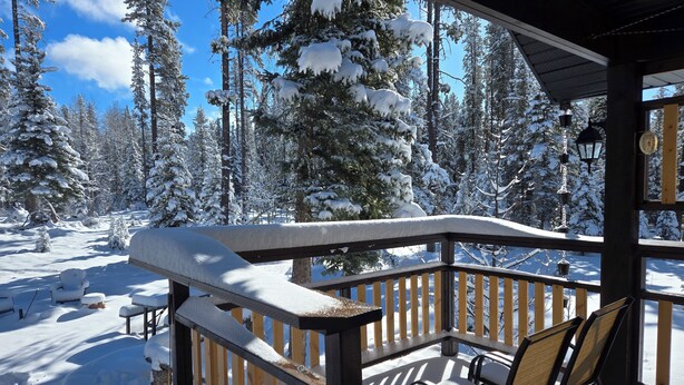 A wooden deck with chairs, surrounded by snow-covered trees and a clear sky. - Cozy Fireside Cottage - The Rock (Nordegg)