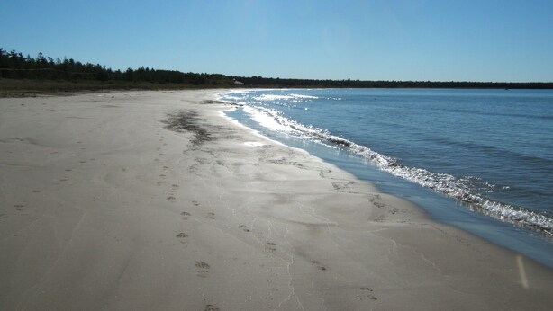 A wide sandy beach with gentle waves, a clear sky, and a distant forest line. - 4 Bedroom Cottage On Manitoulin Island, Ontario (Providence Bay)