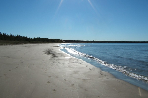 A la platja i tovalloles de platja