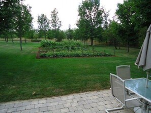 Property grounds - Small family? Nature lover? Birder? Writer? Hiker? Stargazer? WELCOME! (Georgian Bluffs)