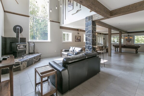 Télévision, cheminée, lecteur de DVD, chaîne hi-fi