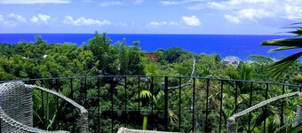 「ココナッツパームヴィラ」