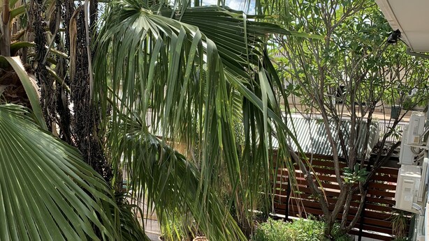 Khu ẩm thực ngoài trời