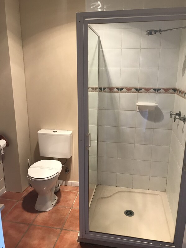 A bathroom with a glass-enclosed shower, a toilet, and a sink. - Central Motel (Longreach)