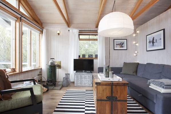 TV, video library, stereo