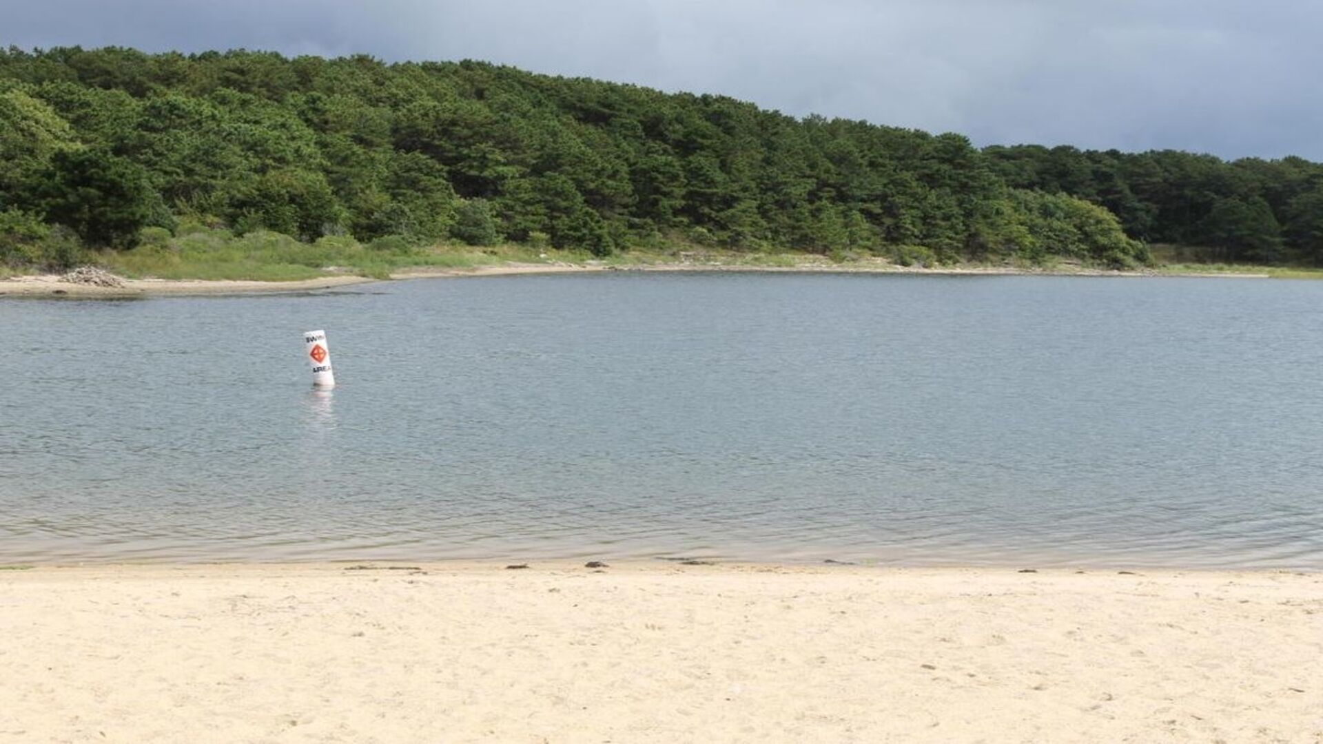 Una playa con arena y una superficie de agua tranquila.