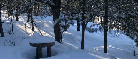 A snow-covered park with a bench and trees.