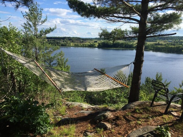 Una hamaca atada entre árboles con vista a un lago, y un banco cerca.