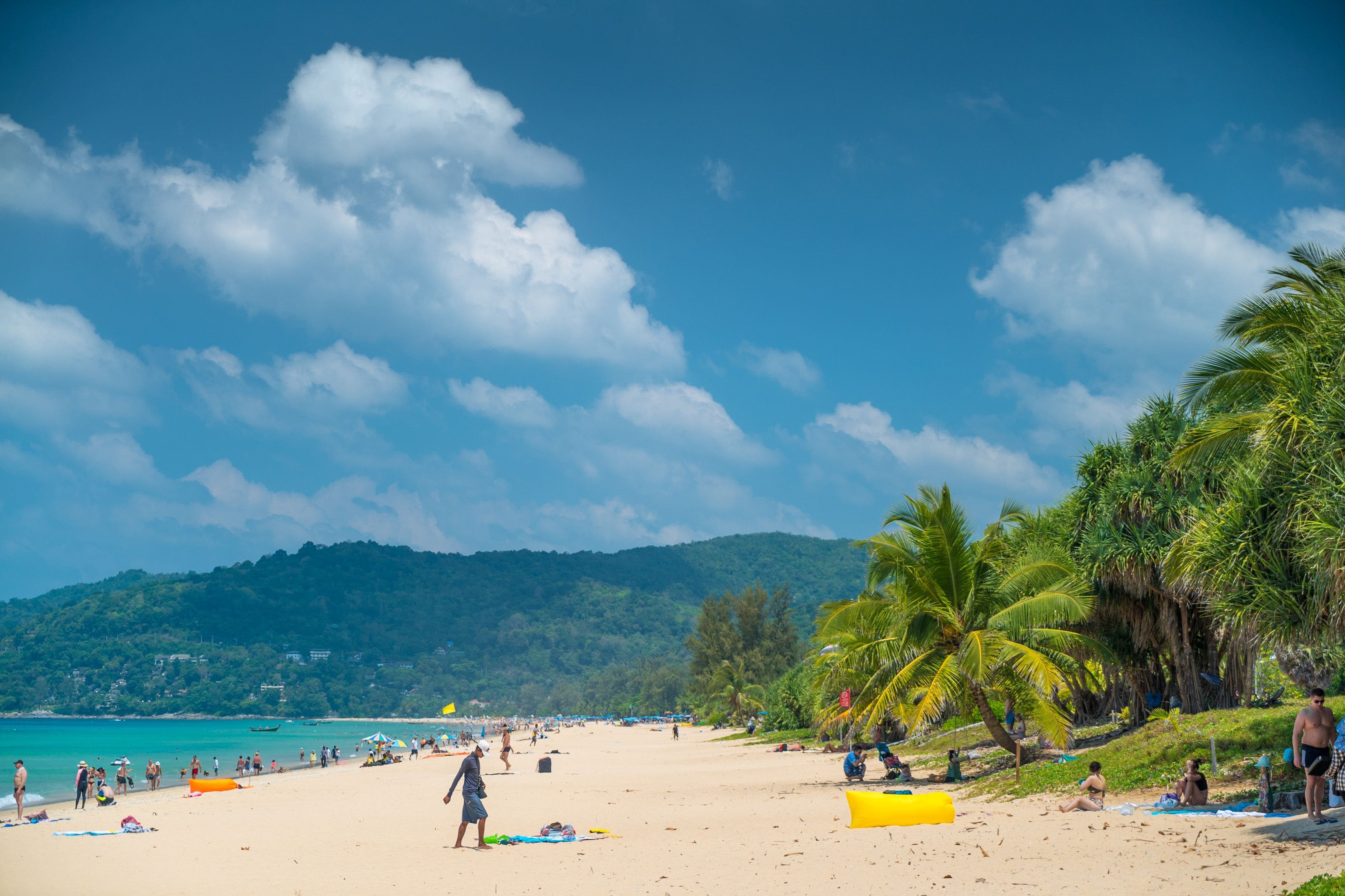 A beach with palm trees and a clear sky.