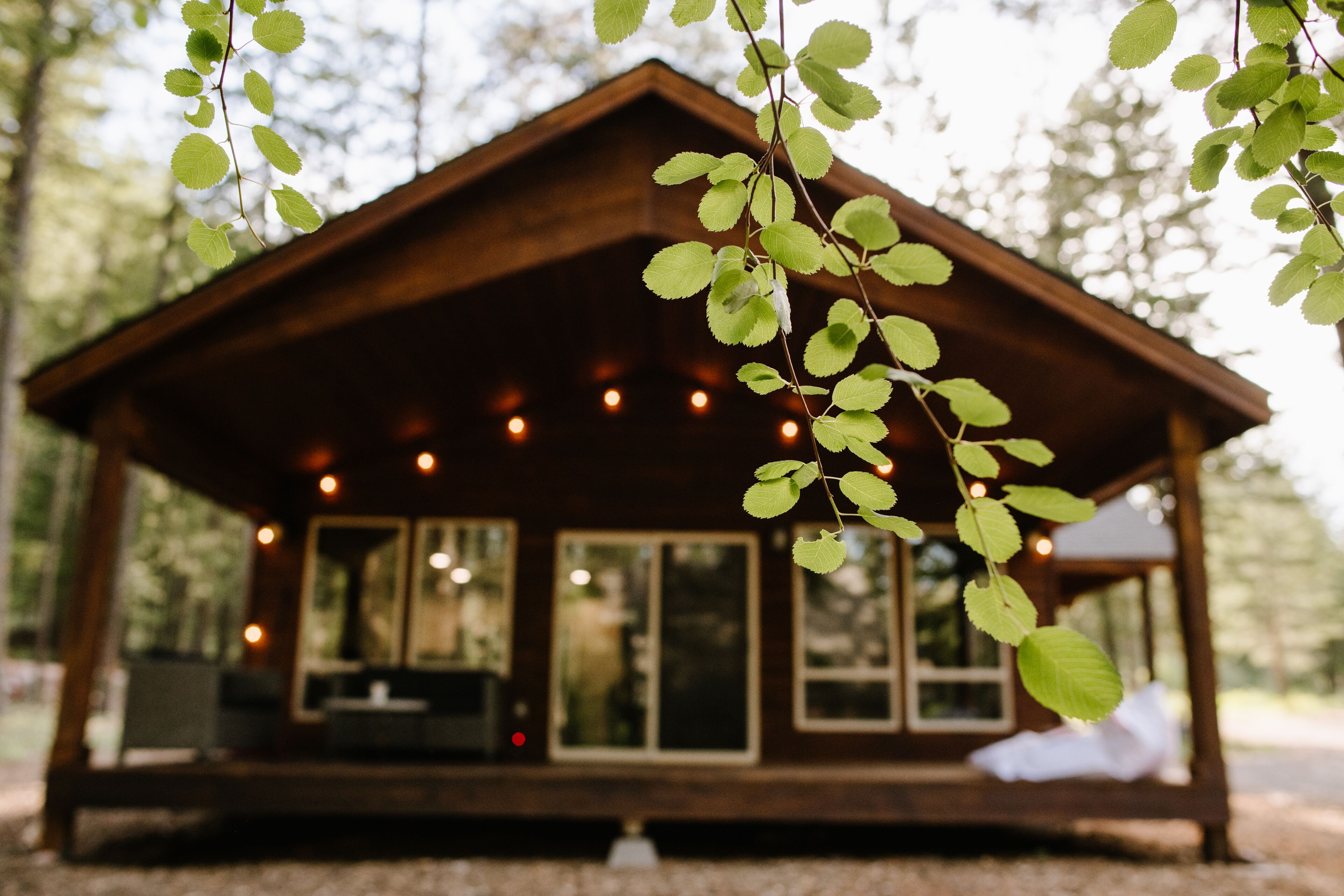 A cozy cabin in the perfect location for every season!