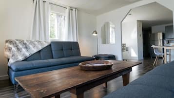Smart TV, fireplace, Netflix, books