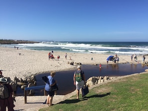 Una playa cerca
