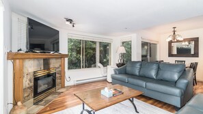 TV, fireplace, DVD player