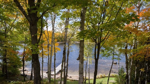 Une zone boisée offrant une vue sur un lac et un quai.