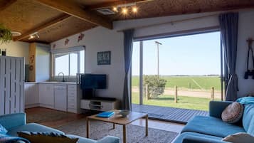 Smart TV, Netflix, DVD player, books