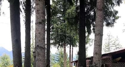 Cedar Cottage, private & cozy experience