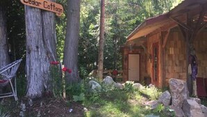 A rustic cabin labeled 'Cedar Cottage' surrounded by tall trees and a hammock.