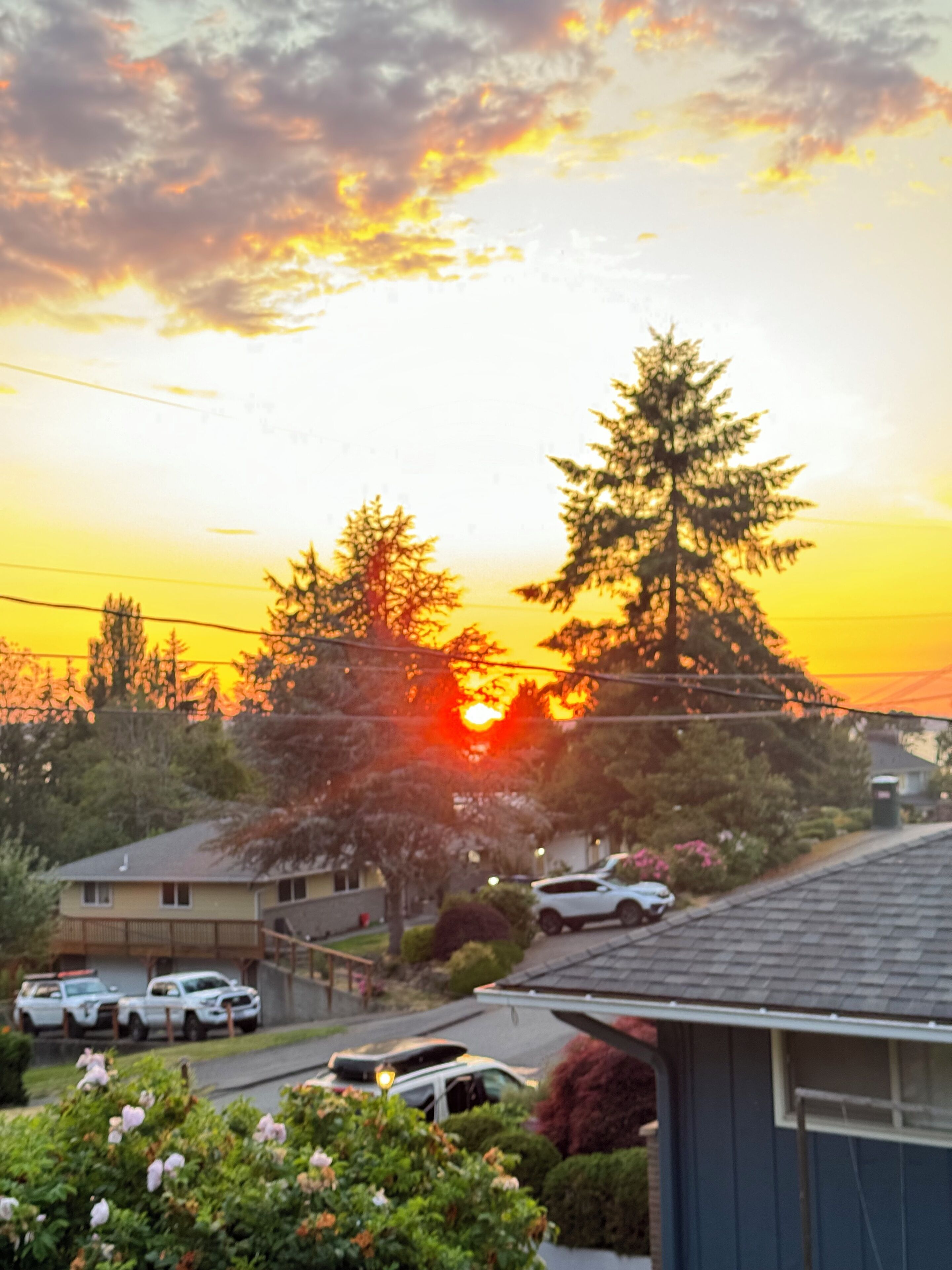 Une rue résidentielle au coucher du soleil, avec des maisons, des voitures garées et des arbres.