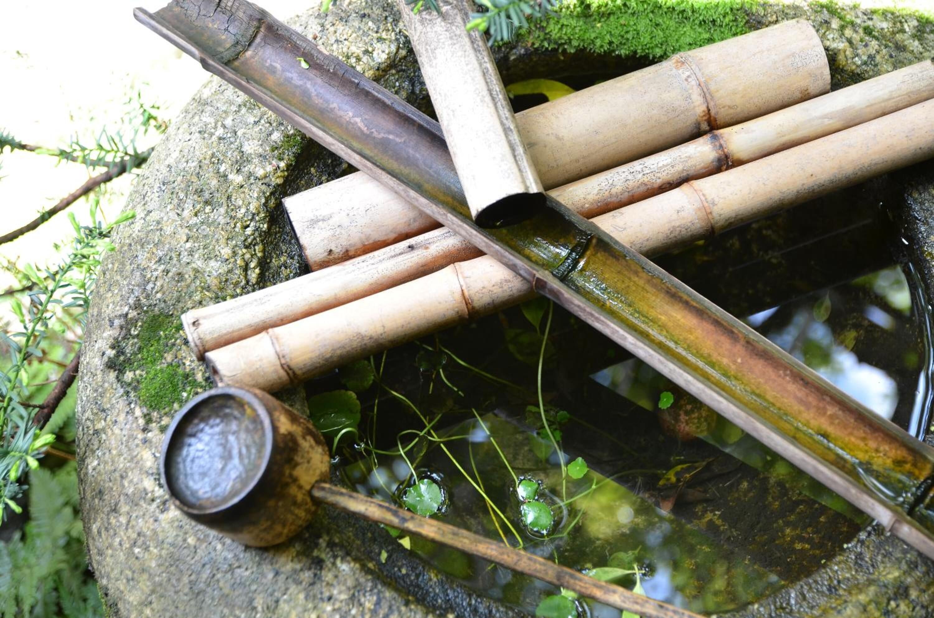 A stone basin with bamboo pipes and a small container.