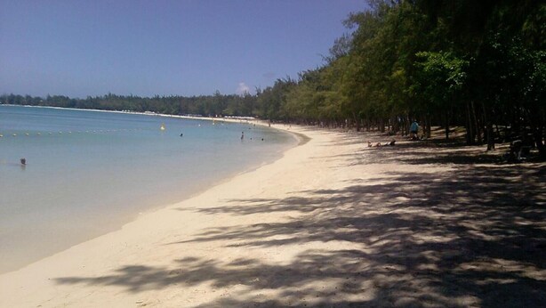 Une plage avec une eau d’un bleu limpide, un rivage sablonneux et des arbres qui offrent de l’ombre.