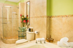 Shower, jetted bath, hair dryer, towels - Simply Heavenly!!! Large Self Catered Single Bedroom Apartment With Huge Pool (Monchy)