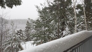 Schneebedeckte Landschaft mit Bäumen und einem Gewässer im Hintergrund.