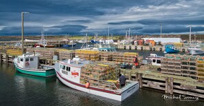 Marina