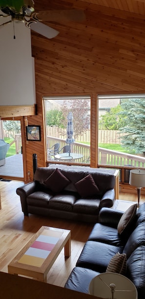 Smart TV, fireplace, DVD player, books