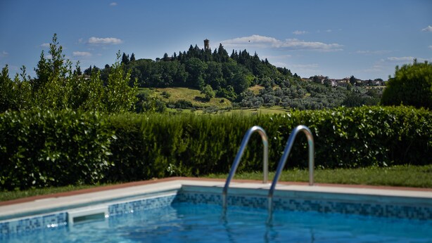 A swimming pool with clear blue water, surrounded by lush greenery and a view of a hill with buildings in the background.