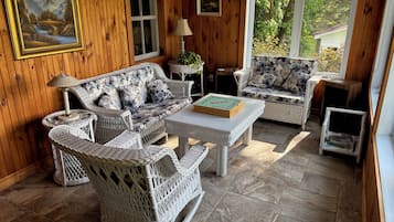 TV connectée, cheminée, lecteur de DVD, livres