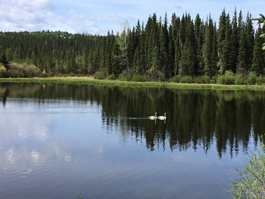 Along a local trail