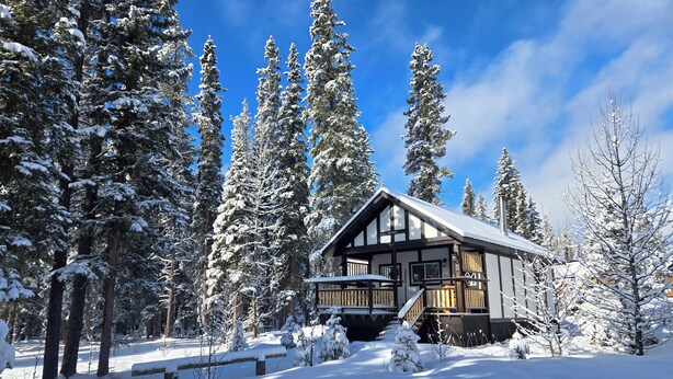 Une cabane dotée d’un balcon, entourée d’arbres couverts de neige.