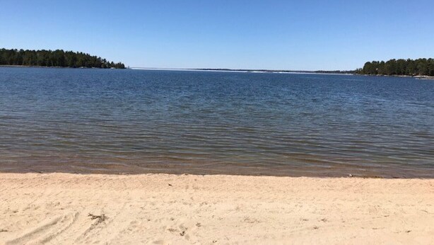Ein Strand mit freiem Blick auf das Wasser und einer bewaldeten Gegend im Hintergrund.