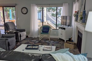 Smart TV, chimenea, reproductor de DVD, libros