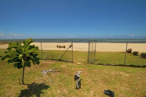 Uma área de praia cercada, com uma pequena árvore e um cão.