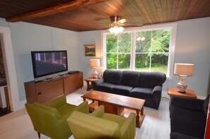 تلفزيون، ألعاب فيديو، مشغل دي في دي، تنس طاولة