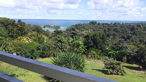 Une vue depuis un balcon donnant sur un paysage luxuriant, avec une végétation dense et une vue lointaine sur l’océan.