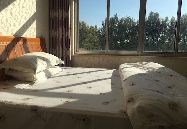 Escritorio, cortinas blackout y wifi gratis