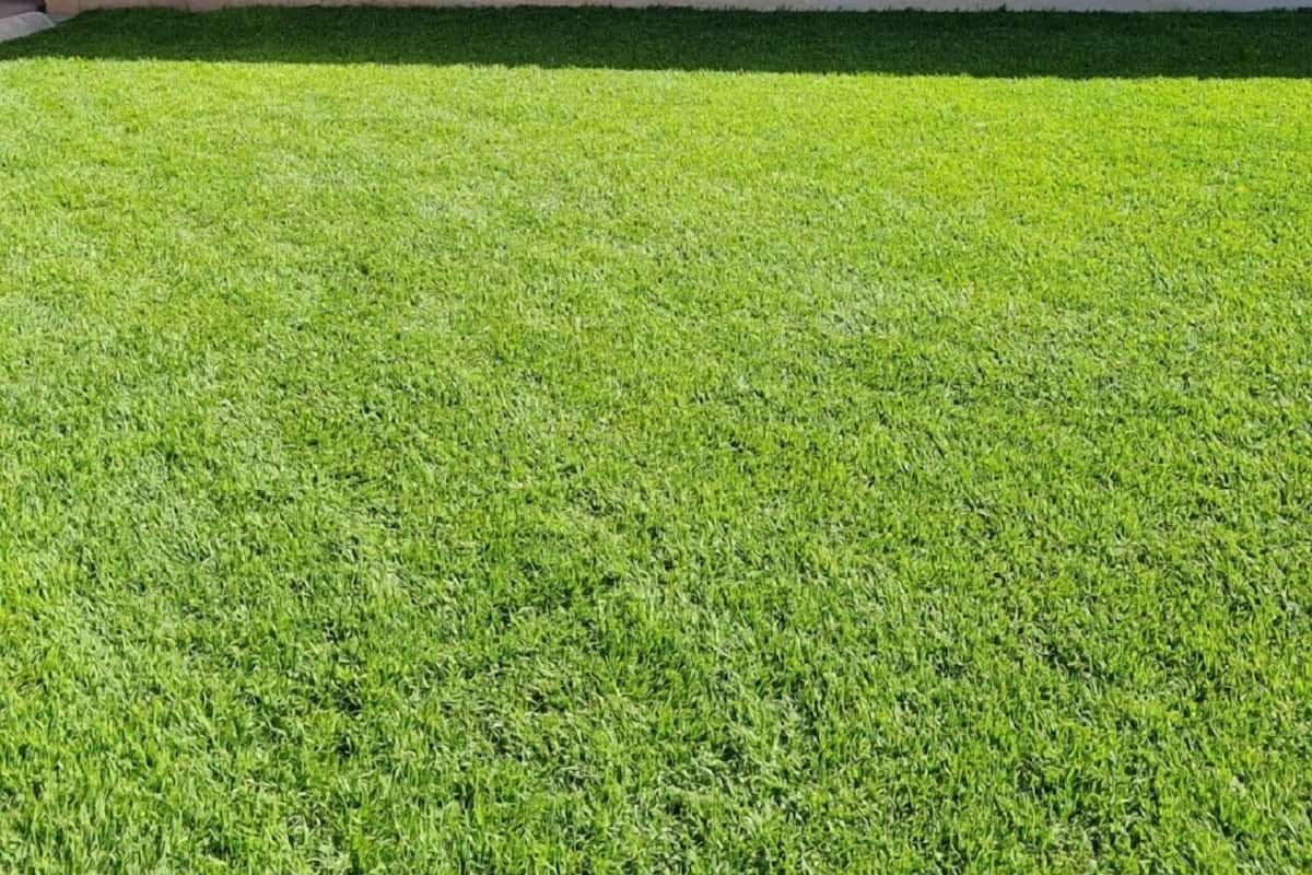 Ein Haus mit Ziegelaußenwand, einer überdachten Terrasse und einem Rasen.