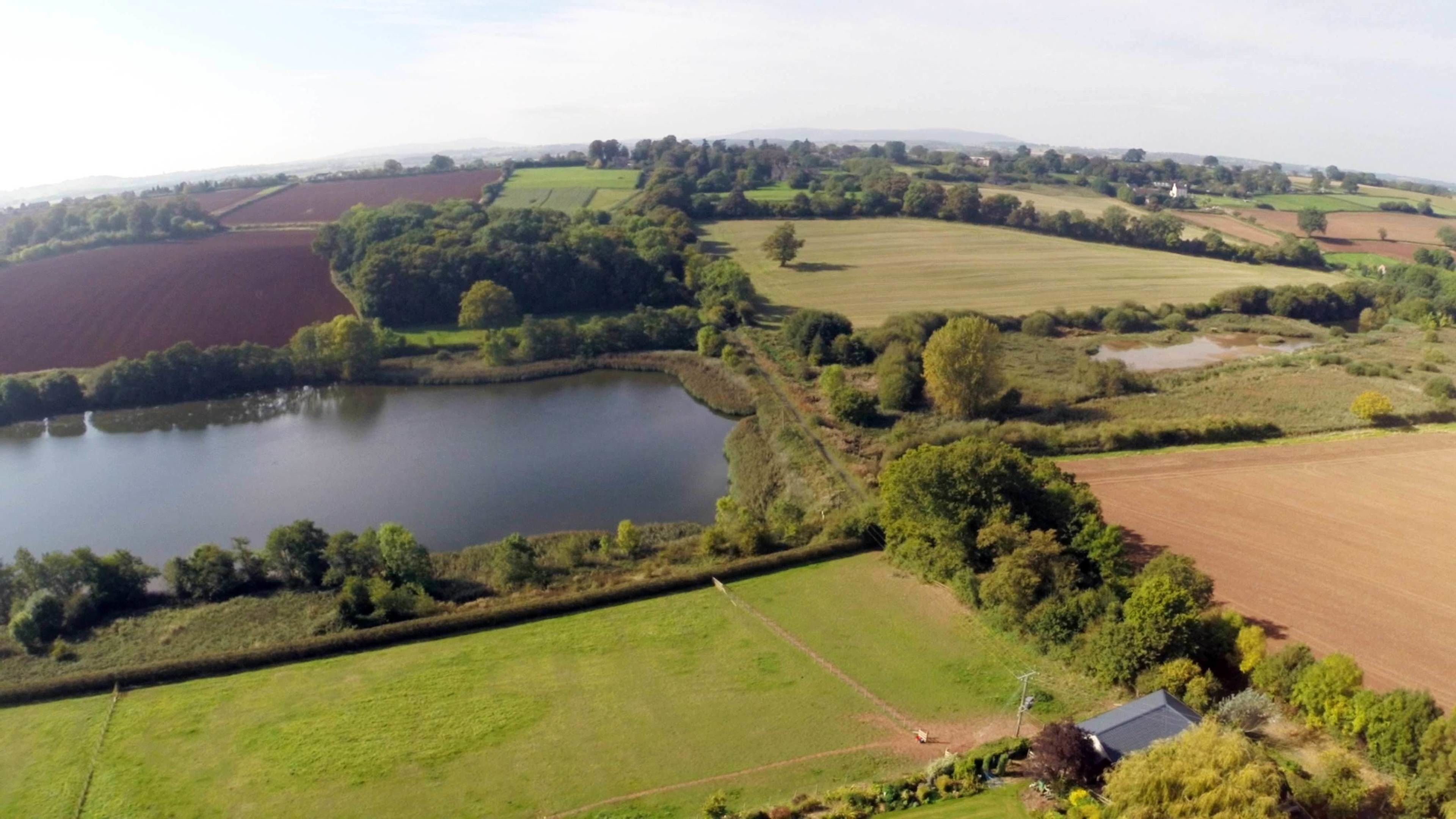 A rural landscape with a lake, fields, and scattered trees.