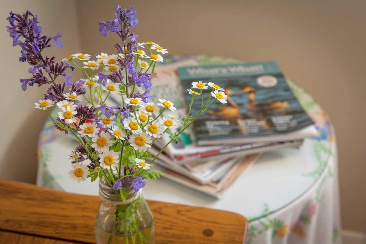 Um vaso com flores sobre uma mesa, com revistas ao fundo.