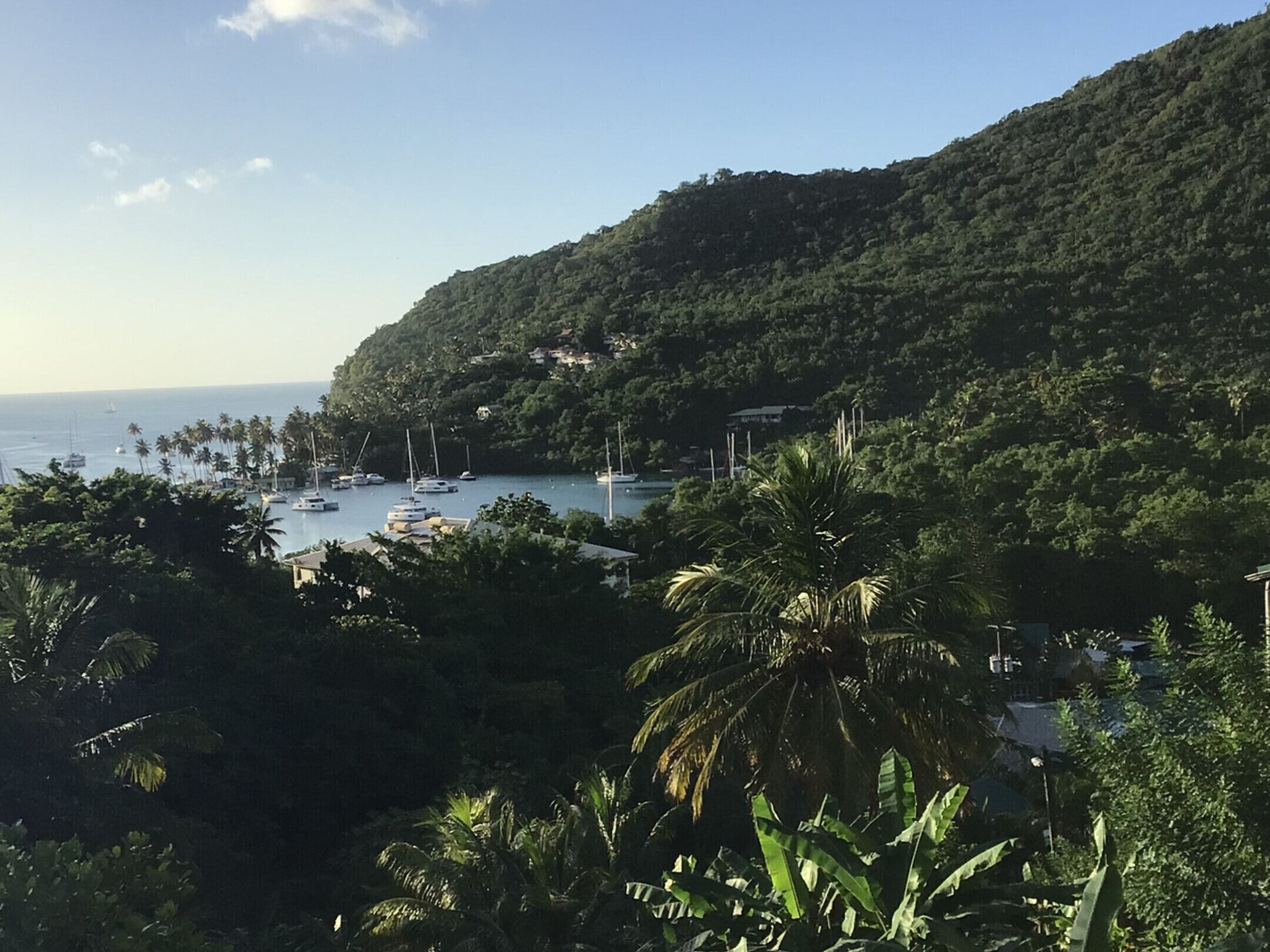 Une vue sur la côte, avec un port de plaisance, une végétation luxuriante et une colline.